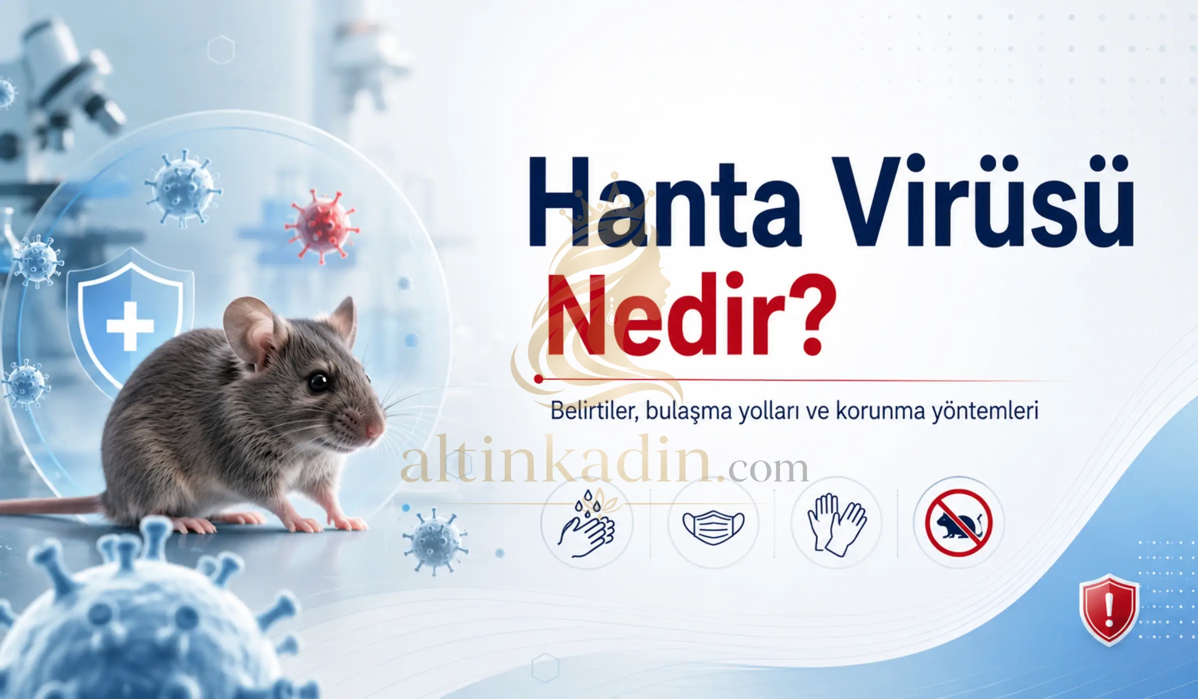 Hanta Virüsü Nedir? Belirtileri, Bulaşma Yolları ve Korunma Yöntemleri